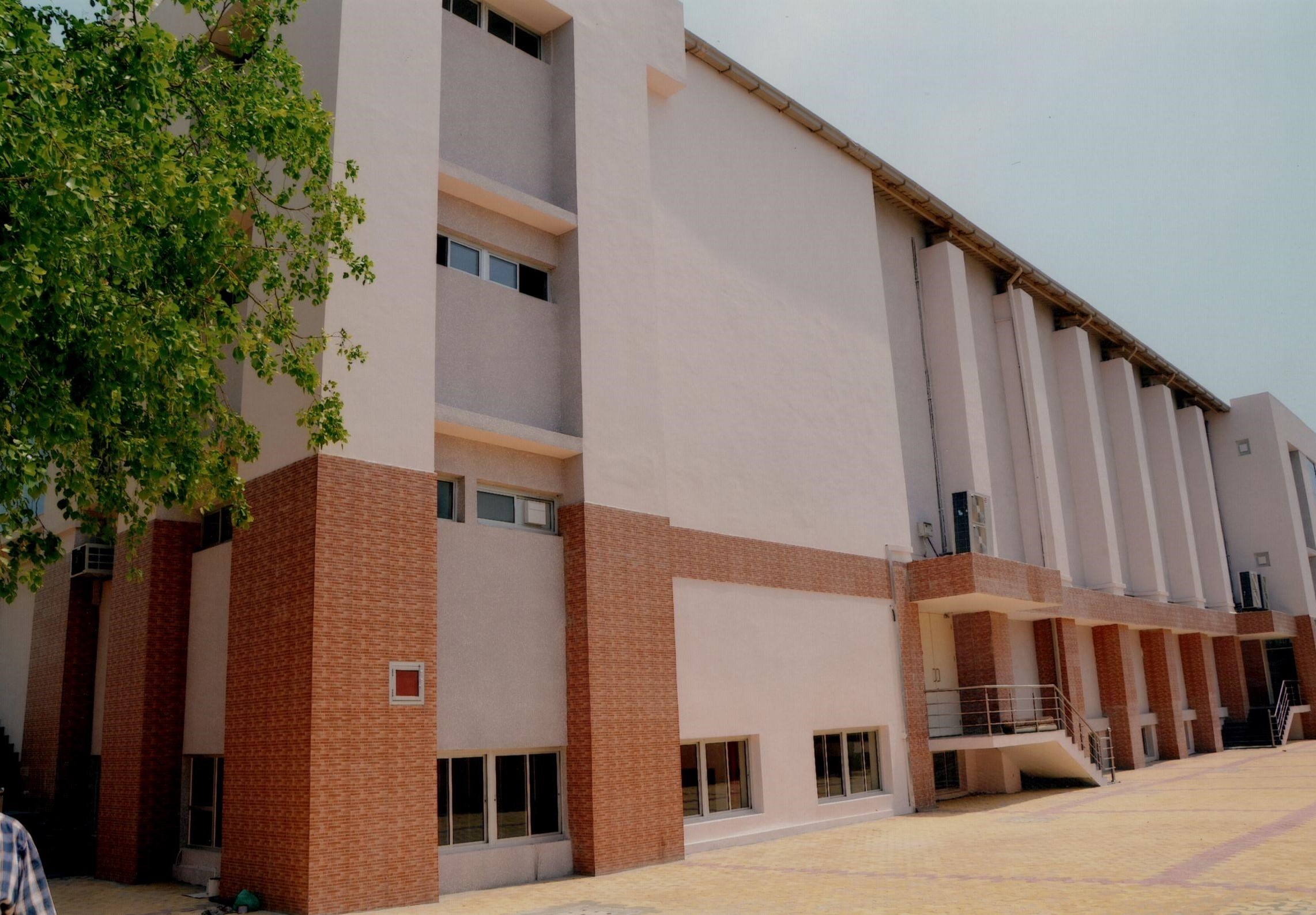 dpsb-4