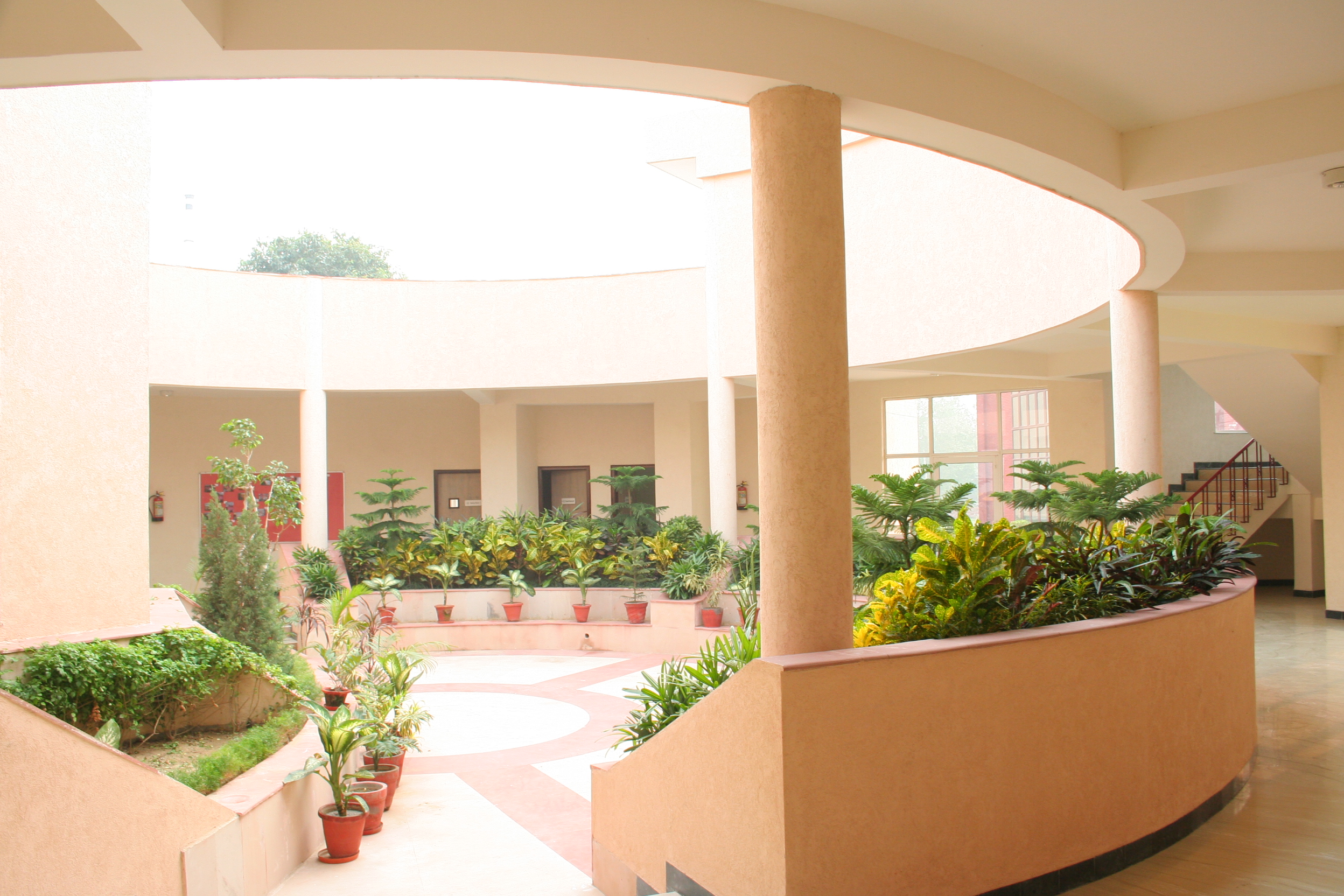hapur-1